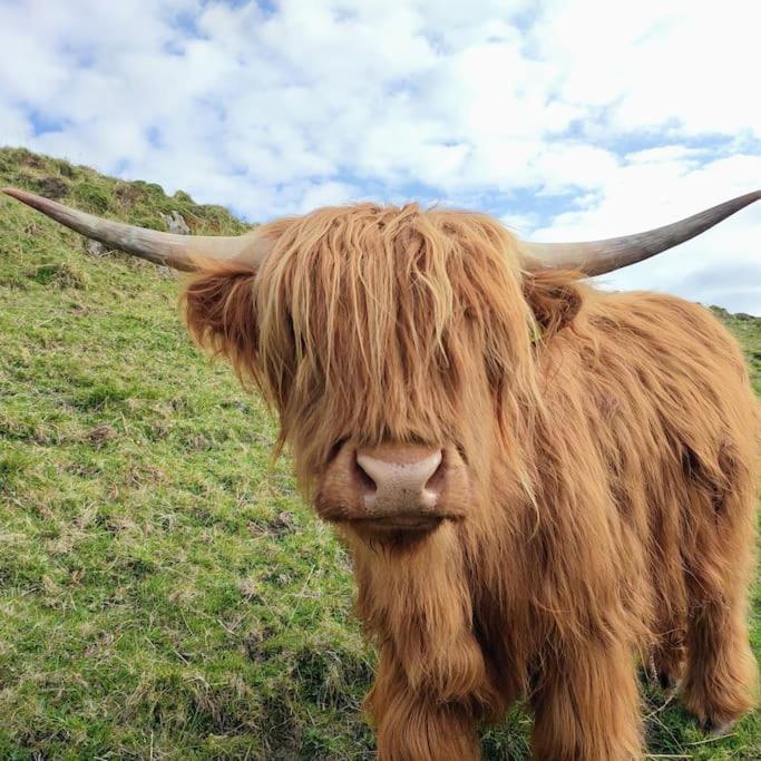 Tobar Nan Iasgair Lismore Achnacroish Esterno foto